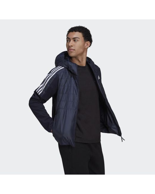 Adidas Blue Essentials Insulated Hooded Hybrid Jacket for men