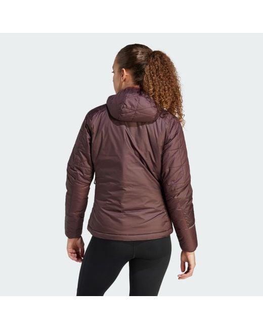 Adidas Purple Terrex Multi Insulated Hooded Jacket
