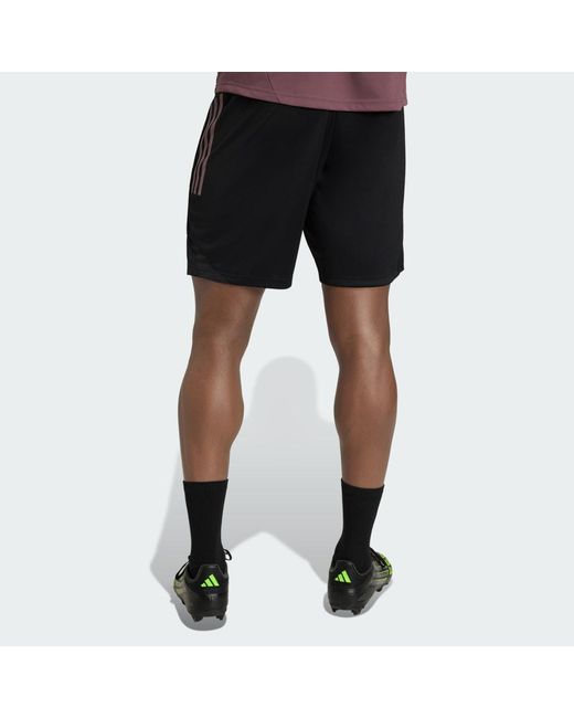 Adidas Black Real Madrid Tiro 25 Competition Training Shorts for men