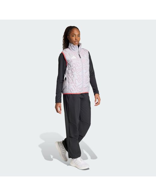 Adidas Gray Team D Primaloft Vest