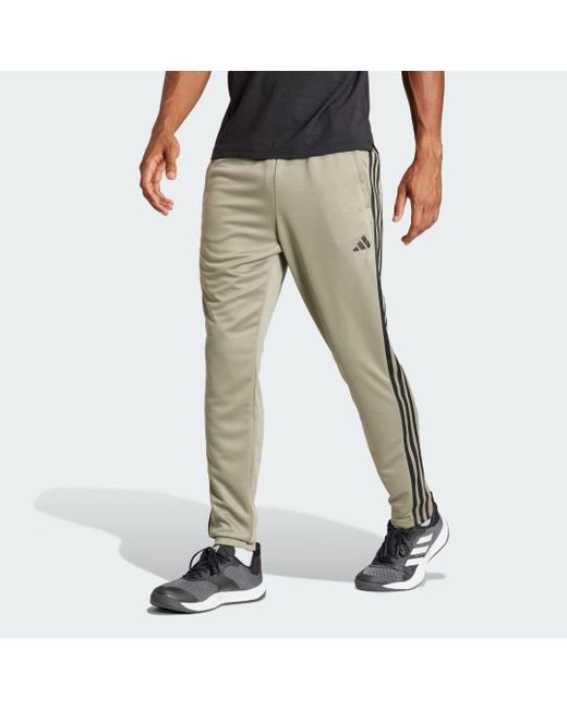 Adidas Gray Train Essentials 3-Stripes Training Joggers for men