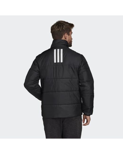 adidas Synthetic Bsc 3 stripes Insulated Winter Jacket in Adidas BB Sweatpants Black Black Black Sheep Skate Shop