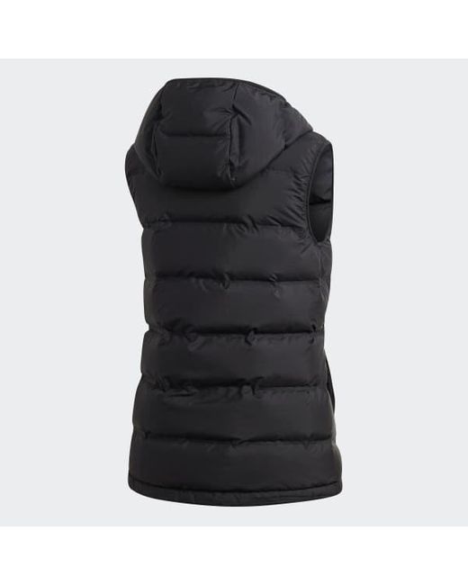 adidas vest