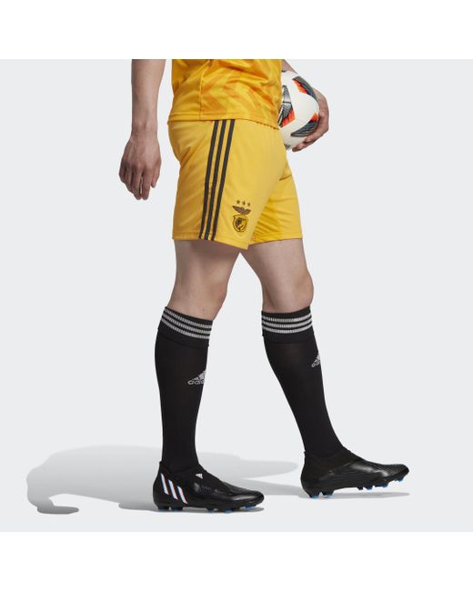 Short Away 22/23 Benfica di Adidas in Yellow da Uomo