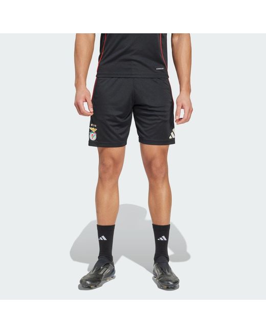Adidas Blue Benfica Tiro 25 Competition Training Shorts for men
