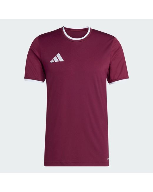 Adidas Purple Entrada26 Jersey for men