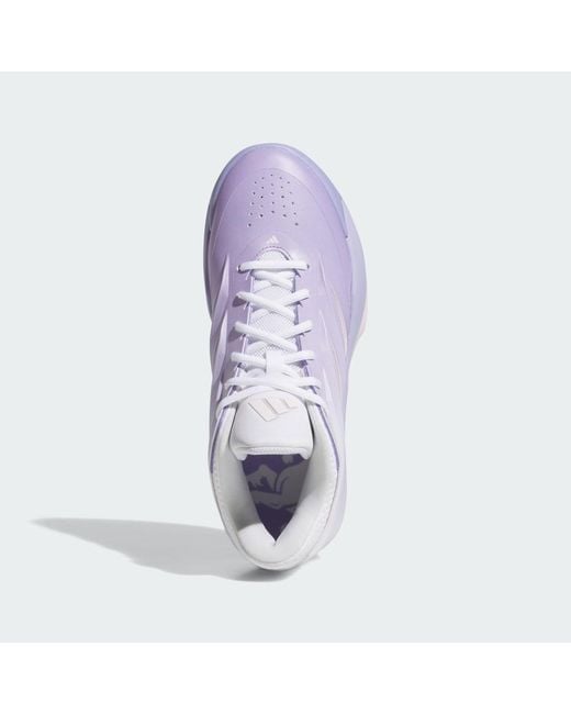 Adidas Purple Crazy Energy Shoes