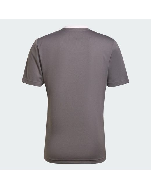 Adidas Gray Entrada 22 Jersey for men