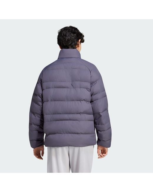 Adidas Blue Essentials Packable Insulated Jacket for men