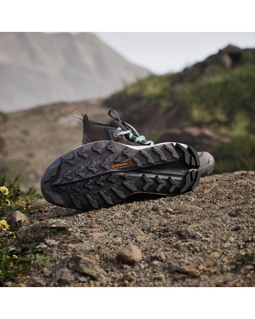 Adidas Blue Terrex Free Hiker 2.0 Gore-Tex Hiking Shoes