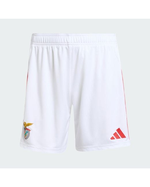 Adidas Red Benfica 25/26 Home Shorts