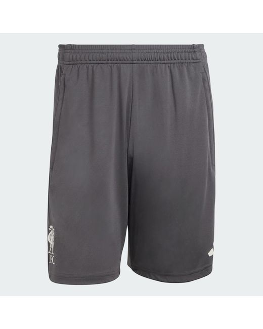 Adidas Multicolor Liverpool Fc Tiro 25 Competition Training Shorts for men