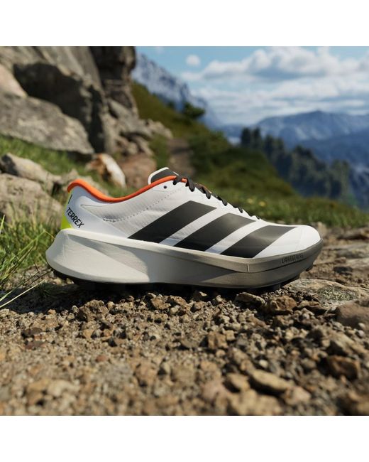 Adidas White Terrex Agravic 4 Trail Running Shoes for men