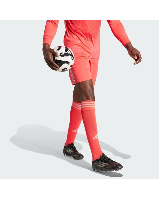 Adidas Red Tiro 24 Shorts for men
