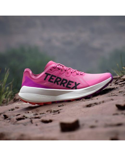 Adidas Pink Terrex Agravic Speed Trail Running Shoes