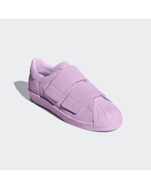 superstar adidas purper