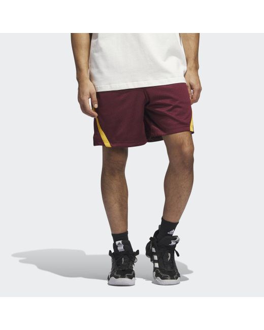Adidas Red Select Summer Shorts for men