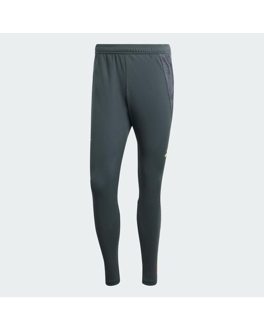 Adidas Originals Blue Benfica Tiro 24 Competition Training Pants for men
