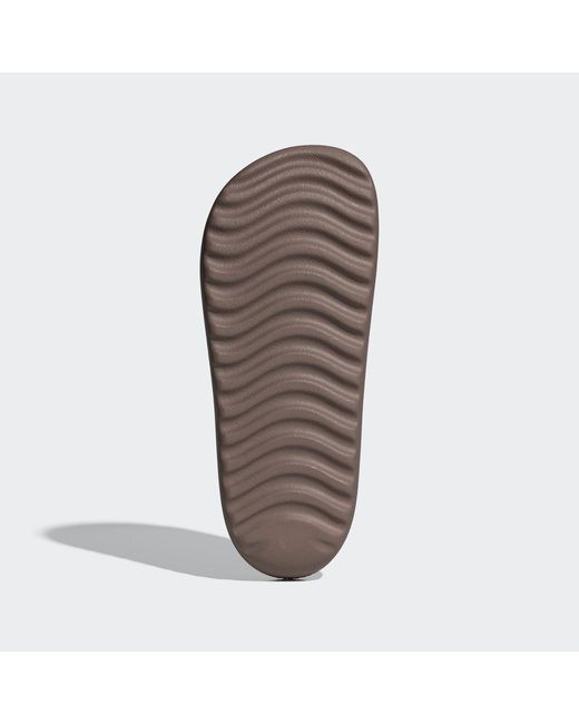 Adidas Brown Adilette Lumia Slides