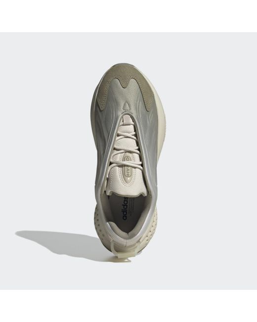 Scarpe OZRAH di Adidas in Gray