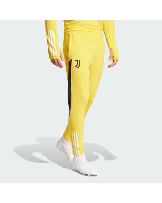 Adidas broek heren geel cheap