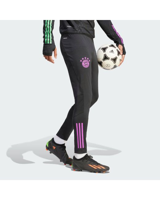 Pantaloni Tiro 23 Pro FC Bayern München di Adidas in Black da Uomo