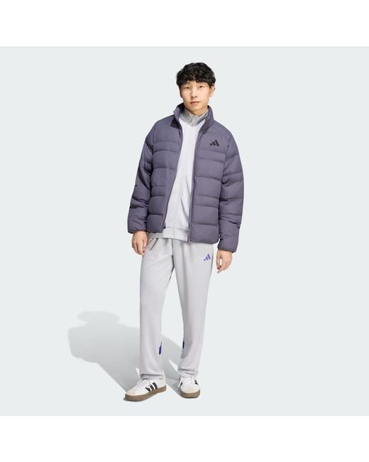 Adidas Blue Essentials Packable Insulated Jacket for men
