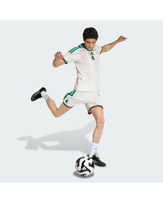 Adidas White Algeria 26 Home Shorts for men