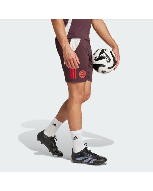 Adidas Red Fc Bayern Tiro 24 Training Shorts for men
