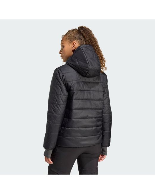 Adidas Black Terrex Multi Essentials Climawarm Insulated Hooded Jacket