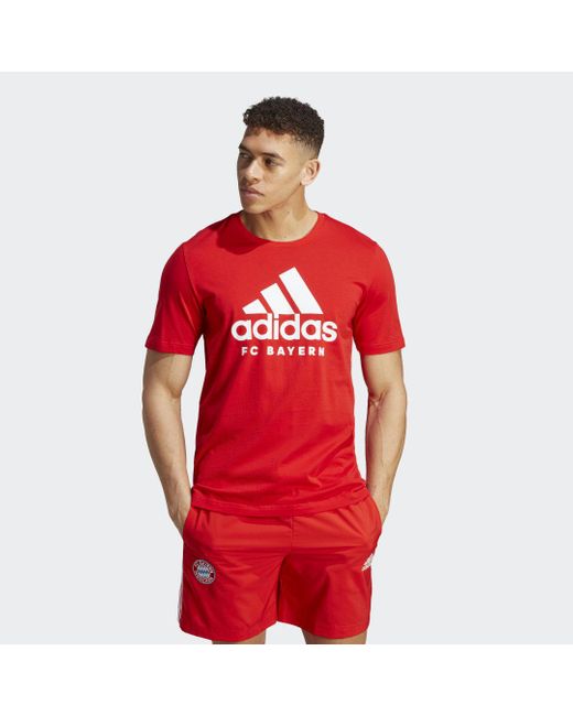 Adidas Red Fc Bayern Dna Graphic T-shirt for men