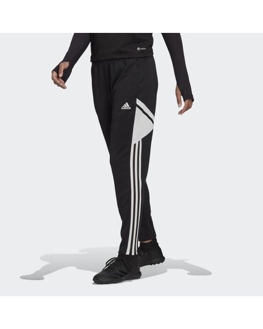 condivo 22 pants