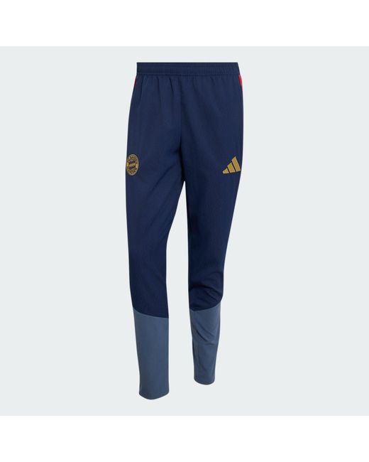 Adidas Blue Fc Bayern 26/27 Presentation Tracksuit Bottoms for men