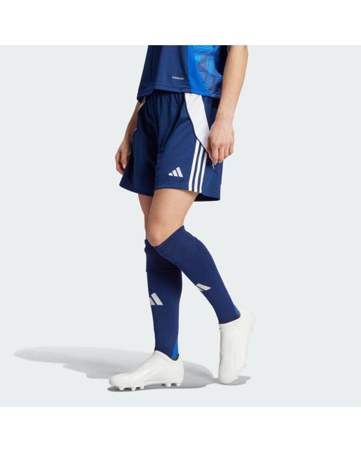 Adidas Originals Blue Tiro 24 Shorts