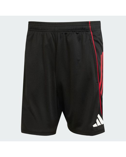 Adidas Ajax Tiro 25 Competition Trainingsshorts in Black für Herren