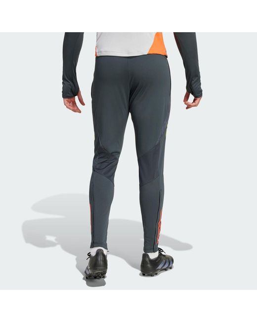 Adidas Originals Blue Benfica Tiro 24 Competition Training Pants for men