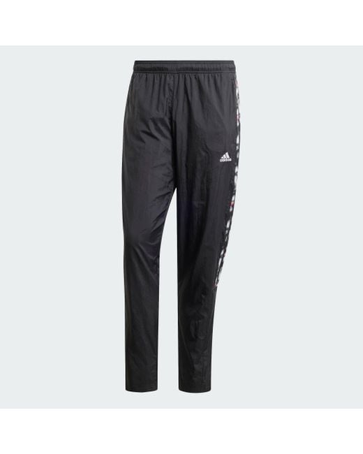 Adidas Gray Pride Tiro Pants for men