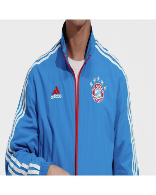 Adidas Blue Fc Bayern Anthem Jacket for men