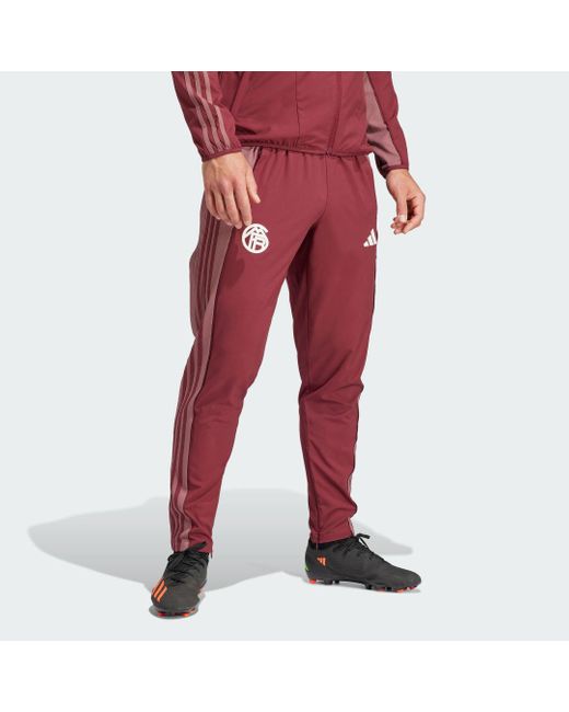 Pantaloni Anthem FC Bayern München di Adidas in Red da Uomo