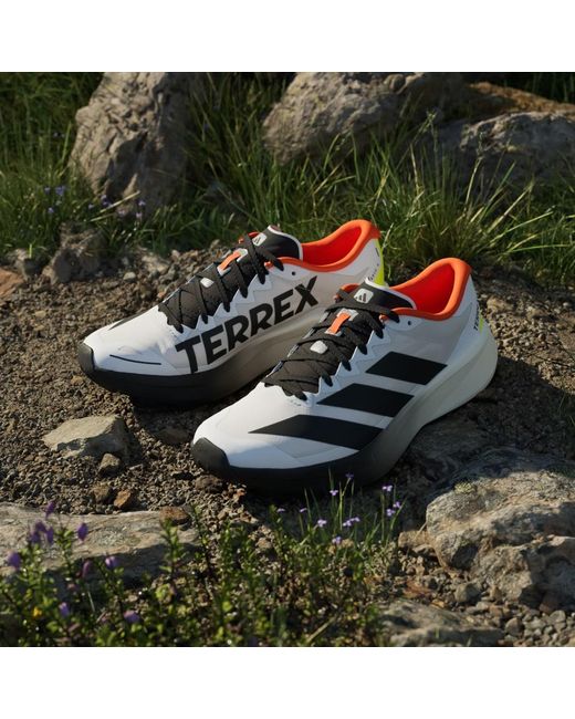 Adidas White Terrex Agravic 4 Trail Running Shoes for men