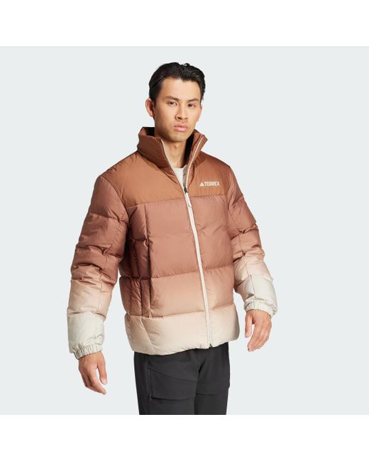 Adidas Brown Xploric Wind.Rdy Gradient Goose Down Jacket for men