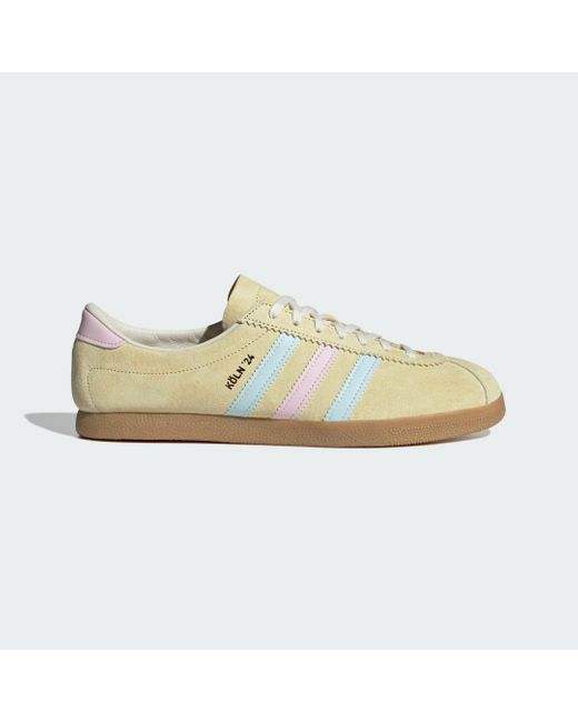 Adidas Multicolor Koln 24 Shoes