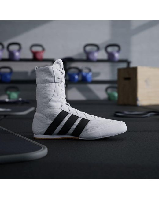 Adidas Metallic Box Hog Classic Shoes