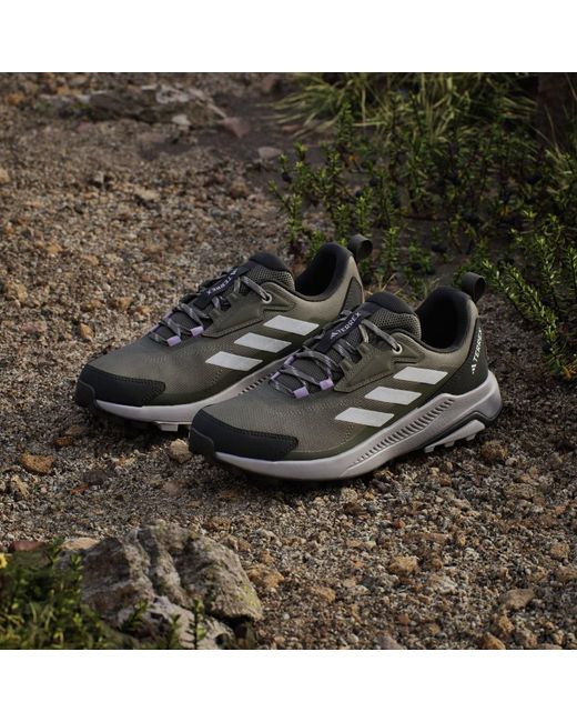 Adidas Multicolor Terrex Anylander Wanderschuh
