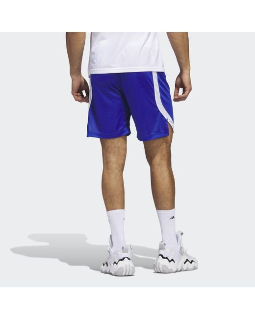Adidas Blue Icon Squad Shorts for men