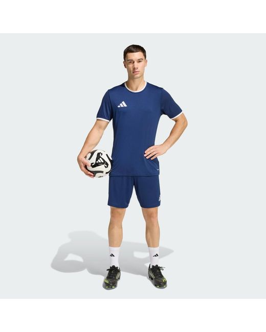 Adidas Blue Entrada26 Shorts for men