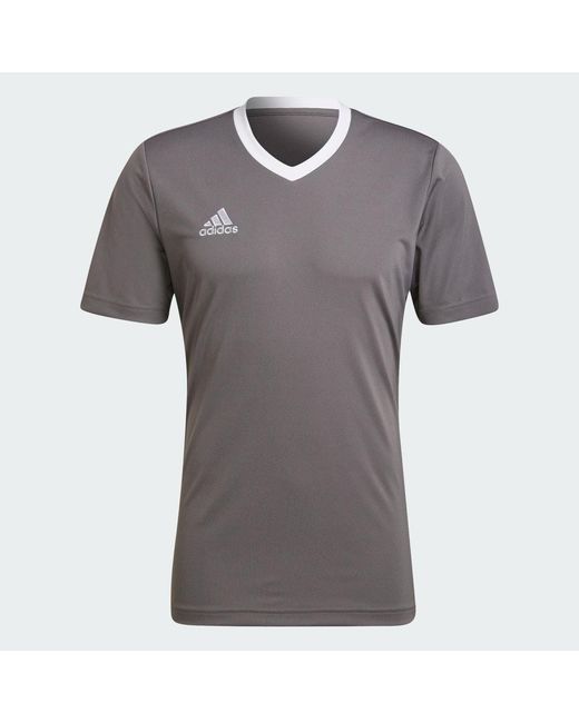 Adidas Gray Entrada 22 Jersey for men