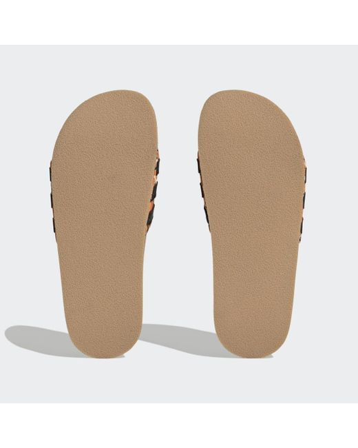 AT | in adidas Braun Lyst Adilette