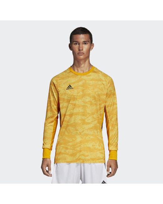 adipro 18 goalkeeper jersey