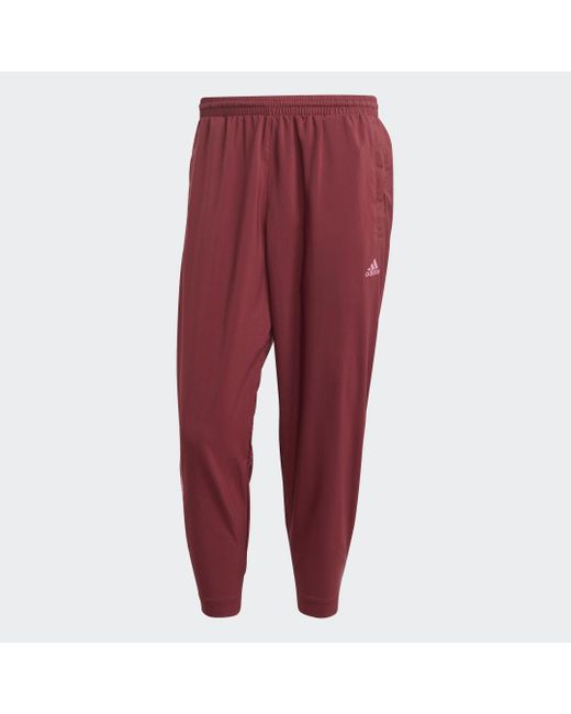 Adidas Red Scribble Joggers for men